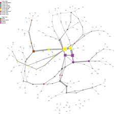 A primer on network analysis; Network Analysis Of Game Of Thrones Datascience