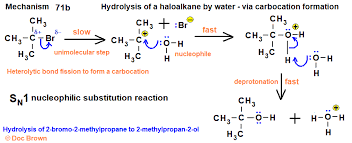 Explain The Difference In Reactivity Between 2-Chlorobutane And 2-Chloro-2-Methylpropane  To The Agno_3/Ethanol Reagent. | Homework.Study.Com