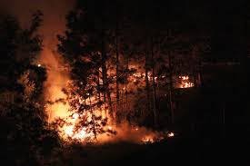 19 hours ago · the 'malahat skywalk' promises to give people spectacular views from up to 250 meters above sea level, on a completely accessible walk. Malahat Skywalk Will Open To Visitors This July Bc Local News