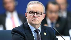 QLD awful pet abusers revealed as new 'fake rescue' trend escalates