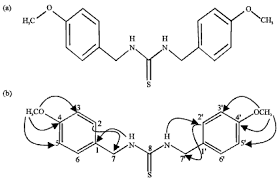 Image result for Rhaphiostylis