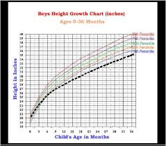 growth chart ages 0 36 months the colored lines represent