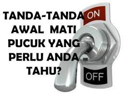 Hal ini bertujuan agar tanamanmu memiliki suplai air yang cukup untuk jadi, prioritaskan cara merawat tanaman dengan tindakan preventif di atas, ya! Ikhtiar Sihat Dengan Khazanah Alam Cara Semula Jadi Atasi Masalah Mati Pucuk