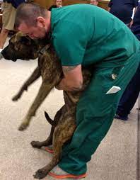 You absolutely have to make sure your dog is choking. Heimlich Maneuver In The Dog Cinnaminson Nj Patch