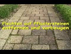 Weiße flecken auf pflastersteinen sehen nicht schön aus. Video Flechten Auf Pflastersteinen Tipps Fur Entfernung Und Vorbeugung