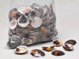 Le prix s'entend pour une douzaine de sachets. Coquilles Wholesale Decofleur