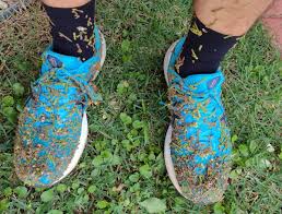 Como tira carrapicho beiço-de-boi  picão do tênis? - Saúde & Esportes -  Bastter.com