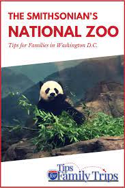 A First Timer S Guide To The National Zoo In Washington D C National Zoo Washington Dc Washington Dc Washington Dc Travel