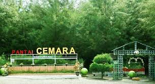 Tanaman cemara yang dapat tumbuh besar dan menjulang tinggi ini juga nantinya bisa membuat rumah terlihat. Pantai Cemara Htm Rute Foto Ulasan Pengunjung