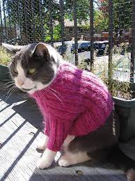 Ravelry Cats Love Sweaters Pattern By Christine Landry