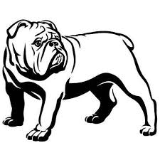 Bulldog Clipart American Bulldog Bulldog American Bulldog Library Of Puppy Bull Dog Clipart Transparent Stock Png 477 Bulldog Clipart English Bulldog Bulldog Dog breed pit bull is worth and looks in side. bulldog clipart american bulldog