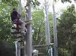 Canopystair is a modular system of steps that can be attached without tools to form a spiral staircase around a tree trunk, allowing one to walk up into the canopy above. Spiral Stairs Up A Power Pole Youtube
