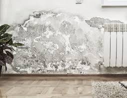 How does mold grow is a common question people ask about mold, especially when they suddenly fear they may be the worse news is that a tremendous amount of the material inside your home contains cellulose. How Long Does It Take For Mold To Grow In Wet Drywall Pacific Flood Restoration