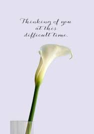 We did not find results for: How To Write A Sympathy Card Is A Question That Gets Asked A Lot By People