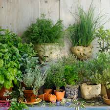 There are a plethora of herb garden ideas you can choose from that will literally spice up your life! Planning A Garden For Growing Herbs