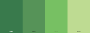 The 24 Best Green Monochromatic Color Palette Blog Schemecolor Com Green Colour Palette Green Palette Color Design Inspiration