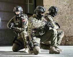 Somewhat confusingly, nothing in cobra's name makes any. Austrian Eko Cobra Operators Source Copyrigh Military Special Forces Austria
