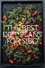 the best sibo diets and lifestyle changes for preventing relapse