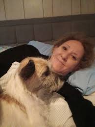 Akron Summit County Lost & Found Pets