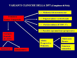As with other types of aphasia, the symptoms that accompany ppa depend on what parts of the left hemisphere are significantly damaged. Inquadramento Clinico Delle Demenze Degenerative Primarie Demenze Frontotemporali
