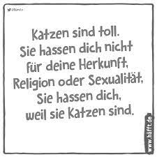 Für alle die gern stupsen 8 Spruche Zum Weltkatzentag Hafft De