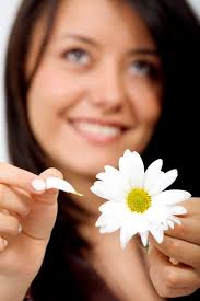 daisies Free Photos, Icons, Vectors & Videos