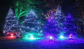 70 Reference Of Christmas Light Winter Garden Winter Garden Christmas Lights Cool House Designs
