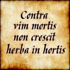 Check spelling or type a new query. 51 Latin Ideas In 2021 Latin Latin Language Lingua Latina