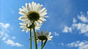 Pe acest principiu funcționează și ecranul monitorului. De Ce E Cerul Albastru Cik Ro Adrian Tanase Blog