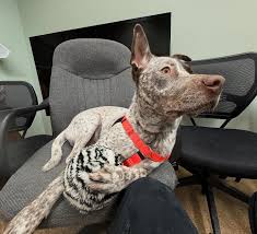 Instagram photo by Mark Poolos • Jun 19, 2024 at 1:52 PM