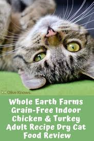 2021 buyer's guide for wet & dry. Whole Earth Farms Grain Free Indoor Chicken Turkey Adult Recipe Dry Cat Food Review Cat Food Reviews Dry Cat Food Cat Food