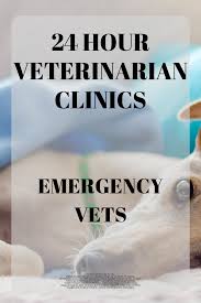 Vet tech student cat diseases vet assistant pet vet. 24 Hour Animal Hospital Emergency Vet Hospitals Emergency Vet Emergency Vet Clinic Animal Hospital