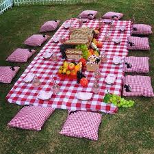 Adorable Picnic Party Hausbesuch Adorable Hausbesuch Party Picnic Parti Planlama Parti Fikirleri Parti