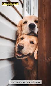 Seriously There S A Special Way I Have To Give My Dog A Treat In 2020 Cute Dog Wallpaper Cute Animals Animals