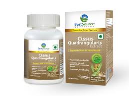 Image result for Cissus quadrangularis