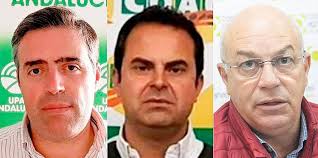 El olivar alza la voz por la baja cosecha y pide ayudas directas