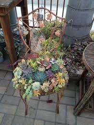 Pianta succulenta da interno con foglie a forma di cuore, verdi con strisce bianche sulla pagina superiore e porpora su quella inferiore. 150 Idee Su Mobili Da Giardino Mobili Da Giardino Giardino Idee Balcone