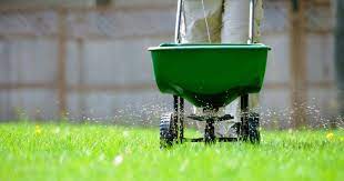 Saatnya untuk dimanfaatkan dengan baik, misalnya dengan salah satu jenis rumput yang paling cocok ditanam di halaman atau taman rumah adalah rumput hias. Baja Urea Tak Sesuai Untuk Rumput Betul Ke Impiana