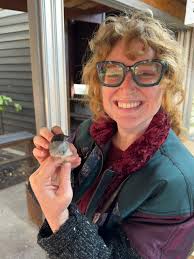 Volunteer coordinator role in Eastern Bay