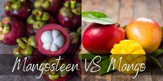 Download citation | mass occurrence and dominant behavior of the european ant species formica fuscocinerea (forel) | recently, masses of the ant formica (serviformica) fuscocinerea (forel) have. Mangosteen Vs Mango 4 Differences Between These Amazing Fruits Foodiosity