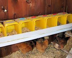 30 Free Plans To Build Chicken Nesting Boxes In 2021 Chicken Nesting Boxes Chicken Diy Nesting Boxes