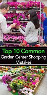Top 10 Common Garden Gardening For Beginners Garden Center Container Gardening