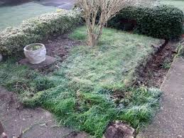 The effect could be further enhanced by planting though the membrane or using containers with bulbs or. Simple Low Maintenance Front Garden In Barming