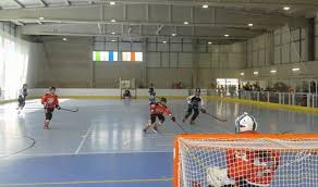 Desporto » patins, skates e trotinetes. Hoquei Biblioteca Virtual