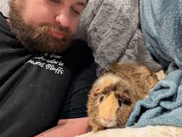 My new teddy piggies