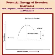 Some of the worksheets displayed are chemistry 12 work 1 2 potential energy diagram work answers potential energy total mechanical energy e. Potential Energy Of Reaction Diagrams By Soltis S Science Shop Tpt