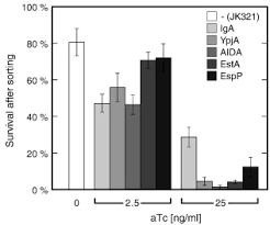 Dodaj do swojej kolekcji edytuj lubię to ustaw jako okładkę kolekcji komentuj. High Throughput Sorting Of An Anticalin Library Via Espp Mediated Functional Display On The Escherichia Coli Cell Surface Sciencedirect