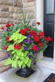 Get details on classic favorite plants like hydrangeas, orchids, and ornamental grasses, as well as. Over 10 Beautiful Container Gardens Container Flowers Flower Pots Outdoor Container Gardening Flowers