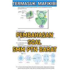 We did not find results for: Soal Asli Dan Pembahasan Smm Ptn Barat 2018 Saintek Baca Deskripsi Shopee Indonesia