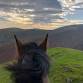 Shropshire TREC Camp Retreat event image
